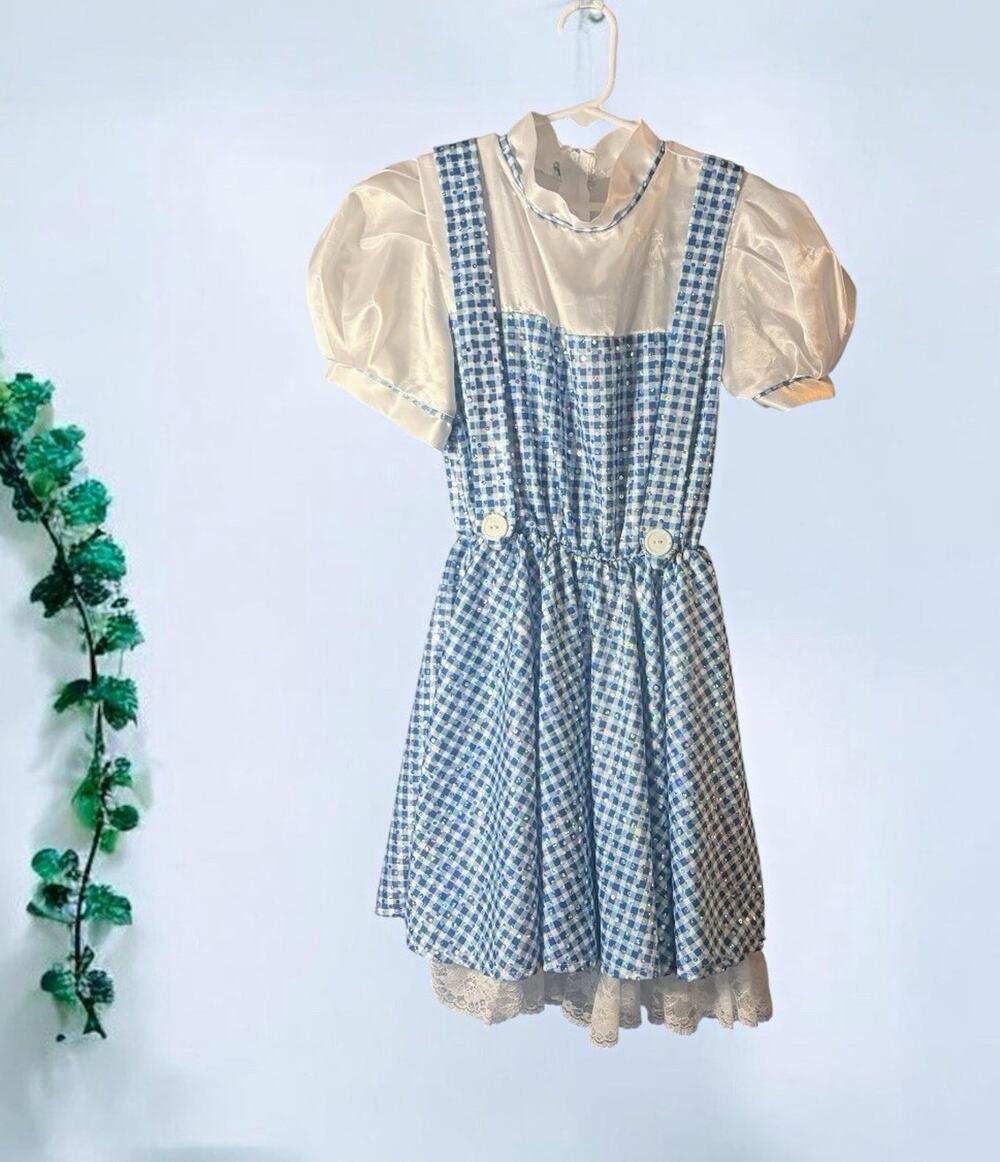 Rubie's Dorothy Sequin Dress Costume Blue/White Gingham, Size M Polyester
